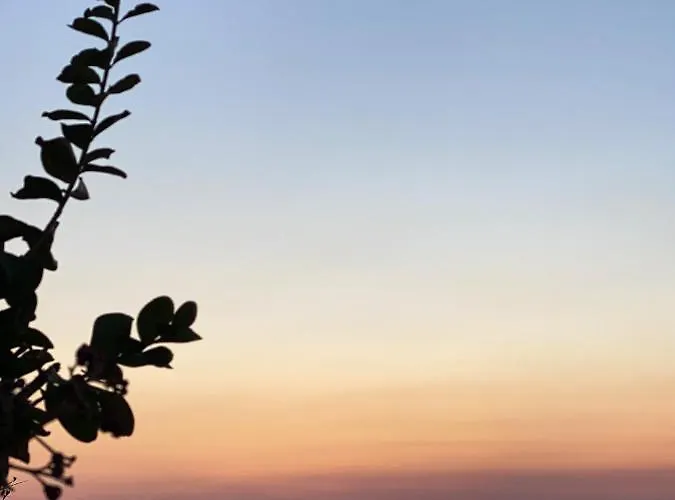 Noone 住宿加早餐酒店 特罗佩阿